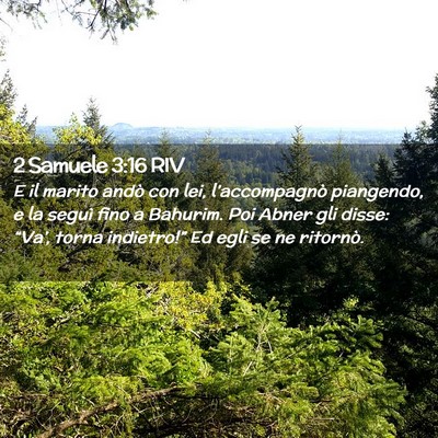 Picture 02 - 2 Samuele 3:16 RIV - E il marito andò con lei, l’accompagnò - Bible Verse Picture