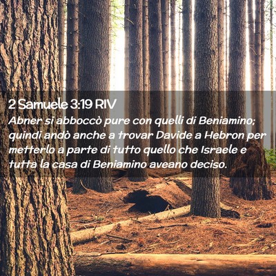 Picture 02 - 2 Samuele 3:19 RIV - Abner si abboccò pure con quelli di Beniamino; - Bible Verse Picture