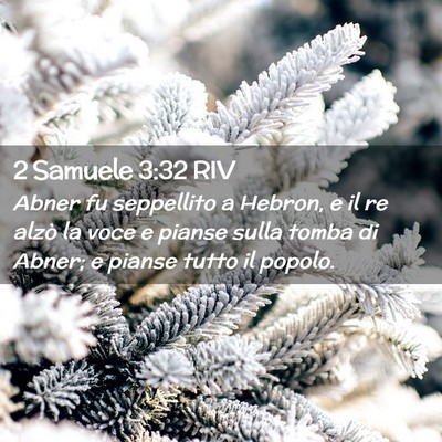 Picture 02 - 2 Samuele 3:32 RIV - Abner fu seppellito a Hebron, e il re alzò la - Bible Verse Picture