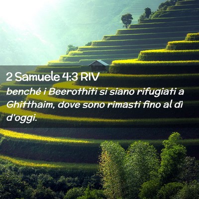 Picture 02 - 2 Samuele 4:3 RIV - benché i Beerothiti si siano rifugiati a - Bible Verse Picture