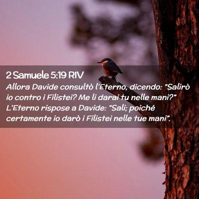 Picture 02 - 2 Samuele 5:19 RIV - Allora Davide consultò l’Eterno, dicendo: - Bible Verse Picture