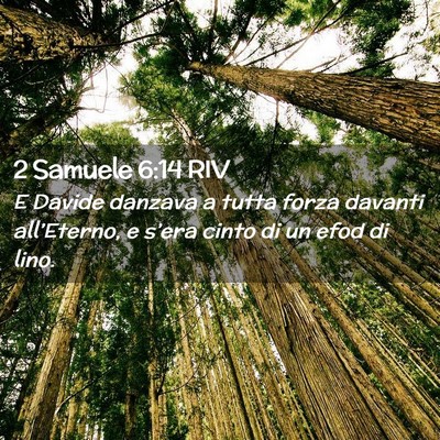 Picture 02 - 2 Samuele 6:14 RIV - E Davide danzava a tutta forza davanti - Bible Verse Picture