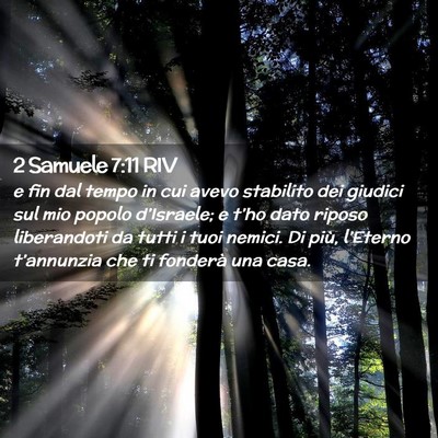 Picture 02 - 2 Samuele 7:11 RIV - e fin dal tempo in cui avevo stabilito dei - Bible Verse Picture