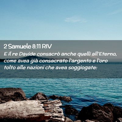 Picture 02 - 2 Samuele 8:11 RIV - E il re Davide consacrò anche quelli - Bible Verse Picture