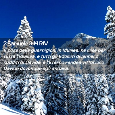 Picture 02 - 2 Samuele 8:14 RIV - E pose delle guarnigioni in Idumea; ne mise per - Bible Verse Picture