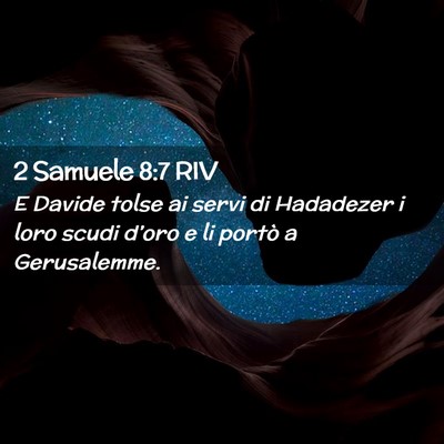 Picture 02 - 2 Samuele 8:7 RIV - E Davide tolse ai servi di Hadadezer i loro scudi - Bible Verse Picture