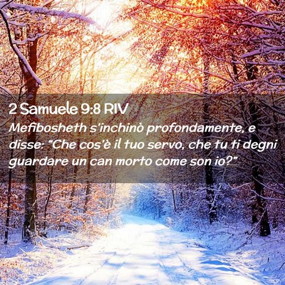 Picture 02 - 2 Samuele 9:8 RIV - Mefibosheth s’inchinò profondamente, e disse: - Bible Verse Picture