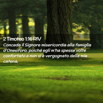 Picture 02 - 2 Timoteo 1:16 RIV - Conceda il Signore misericordia alla famiglia - Bible Verse Picture