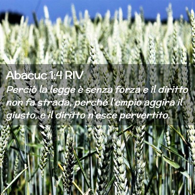 Picture 02 - Abacuc 1:4 RIV - Perciò la legge è senza forza e il diritto non - Bible Verse Picture