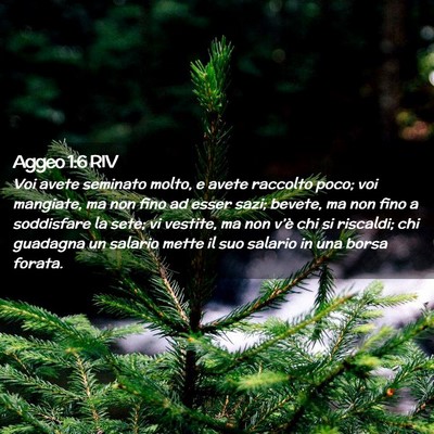 Picture 02 - Aggeo 1:6 RIV - Voi avete seminato molto, e avete raccolto poco; - Bible Verse Picture