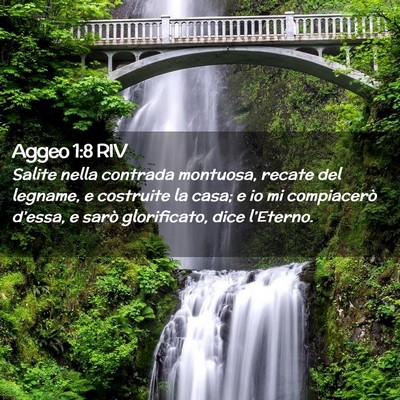 Picture 02 - Aggeo 1:8 RIV - Salite nella contrada montuosa, recate del - Bible Verse Picture