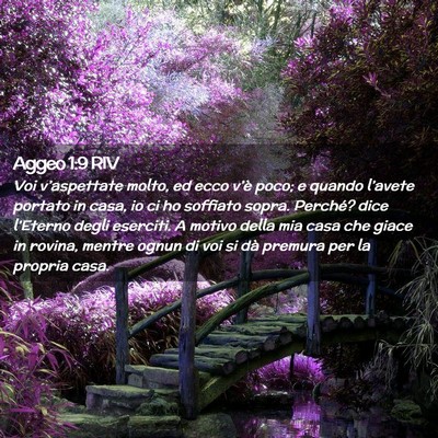 Picture 02 - Aggeo 1:9 RIV - Voi v’aspettate molto, ed ecco v’è poco; e - Bible Verse Picture