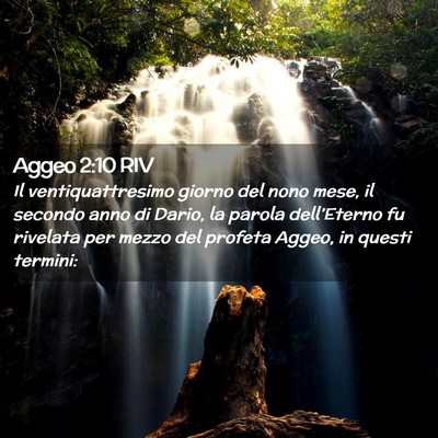 Picture 02 - Aggeo 2:10 RIV - Il ventiquattresimo giorno del nono mese, il - Bible Verse Picture