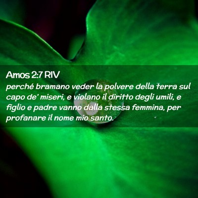 Picture 02 - Amos 2:7 RIV - perché bramano veder la polvere della terra sul - Bible Verse Picture