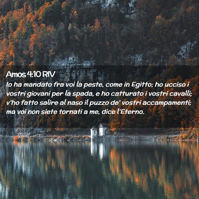 Picture 02 - Amos 4:10 RIV - Io ha mandato fra voi la peste, come in Egitto; - Bible Verse Picture