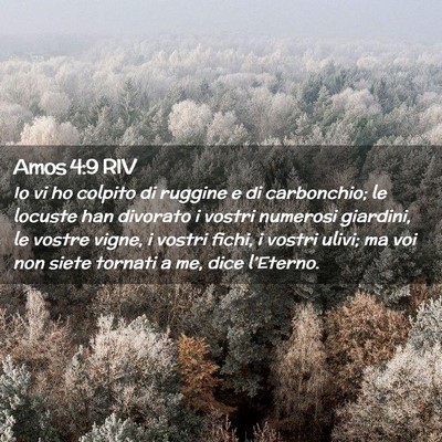Picture 02 - Amos 4:9 RIV - Io vi ho colpito di ruggine e di carbonchio; le - Bible Verse Picture