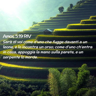 Picture 02 - Amos 5:19 RIV - Sarà di voi come d’uno che fugge davanti a un - Bible Verse Picture