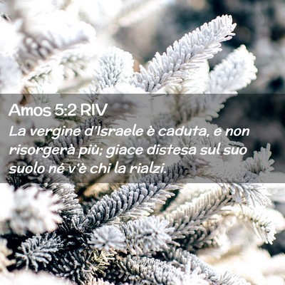 Picture 02 - Amos 5:2 RIV - La vergine d’Israele è caduta, e non - Bible Verse Picture