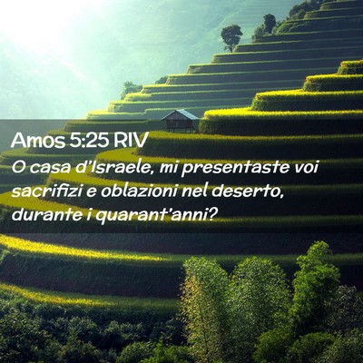 Picture 02 - Amos 5:25 RIV - O casa d’Israele, mi presentaste voi sacrifizi - Bible Verse Picture