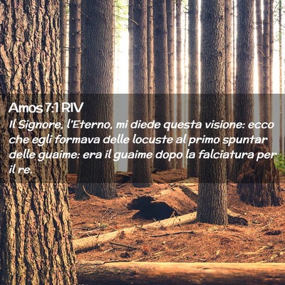 Picture 02 - Amos 7:1 RIV - Il Signore, l’Eterno, mi diede questa visione: - Bible Verse Picture