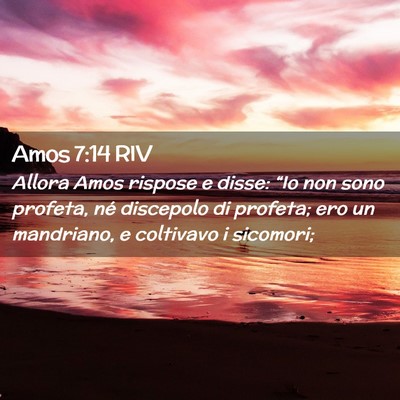Picture 02 - Amos 7:14 RIV - Allora Amos rispose e disse: “Io non sono - Bible Verse Picture