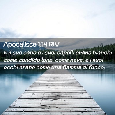 Picture 02 - Apocalisse 1:14 RIV - E il suo capo e i suoi capelli erano bianchi come - Bible Verse Picture