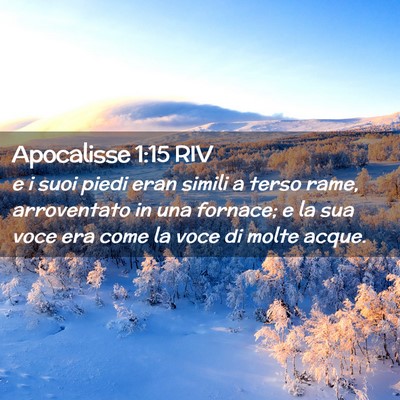 Picture 02 - Apocalisse 1:15 RIV - e i suoi piedi eran simili a terso rame, - Bible Verse Picture