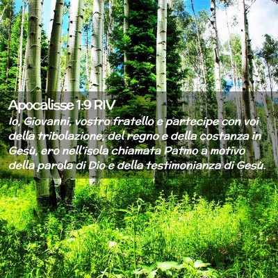 Picture 02 - Apocalisse 1:9 RIV - Io, Giovanni, vostro fratello e partecipe con voi - Bible Verse Picture
