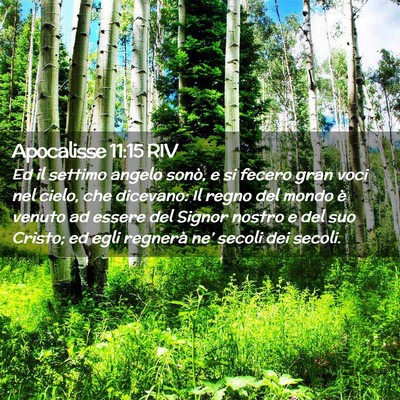 Picture 02 - Apocalisse 11:15 RIV - Ed il settimo angelo sonò, e si fecero gran voci - Bible Verse Picture
