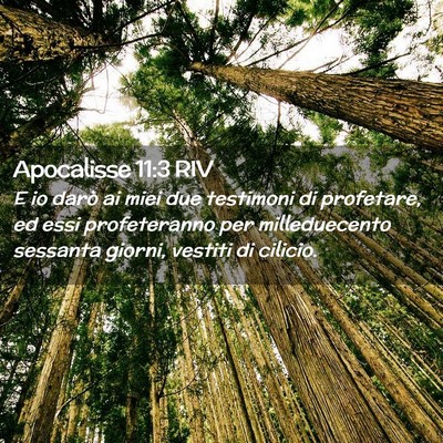 Picture 02 - Apocalisse 11:3 RIV - E io darò ai miei due testimoni di profetare, ed - Bible Verse Picture