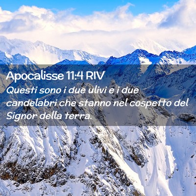 Picture 02 - Apocalisse 11:4 RIV - Questi sono i due ulivi e i due candelabri che - Bible Verse Picture