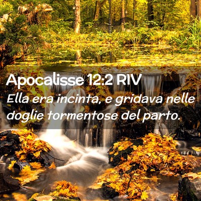 Picture 02 - Apocalisse 12:2 RIV - Ella era incinta, e gridava nelle doglie - Bible Verse Picture