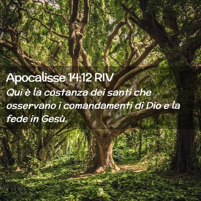 Picture 02 - Apocalisse 14:12 RIV - Qui è la costanza dei santi che osservano i - Bible Verse Picture