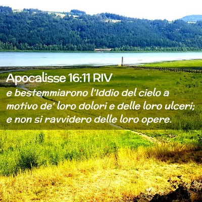 Picture 02 - Apocalisse 16:11 RIV - e bestemmiarono l’Iddio del cielo a motivo - Bible Verse Picture