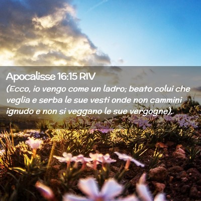 Picture 02 - Apocalisse 16:15 RIV - (Ecco, io vengo come un ladro; beato colui che - Bible Verse Picture