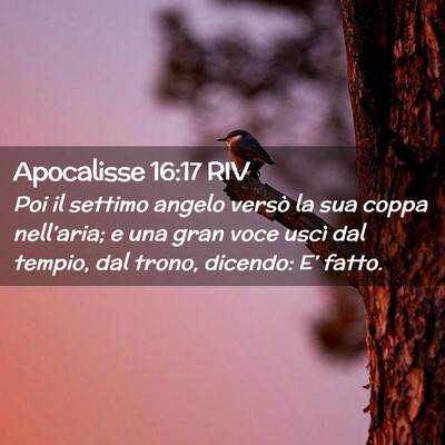 Picture 02 - Apocalisse 16:17 RIV - Poi il settimo angelo versò la sua coppa - Bible Verse Picture
