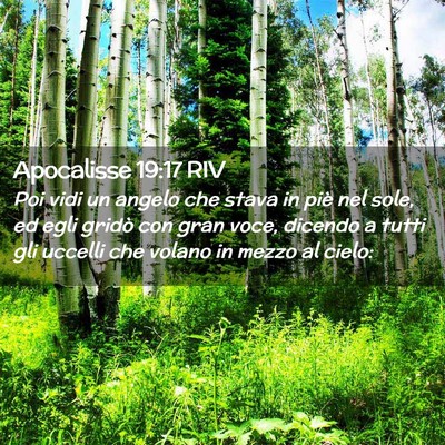 Picture 02 - Apocalisse 19:17 RIV - Poi vidi un angelo che stava in piè nel sole, ed - Bible Verse Picture