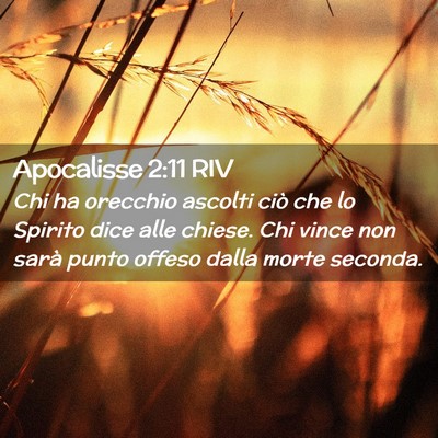 Picture 02 - Apocalisse 2:11 RIV - Chi ha orecchio ascolti ciò che lo Spirito dice - Bible Verse Picture