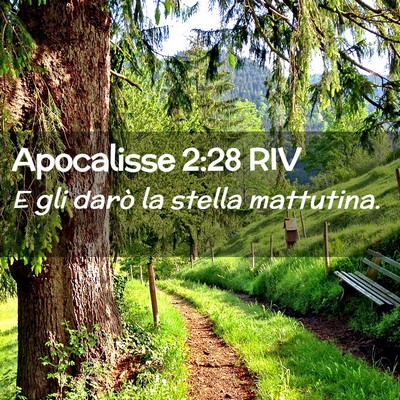 Picture 02 - Apocalisse 2:28 RIV - E gli darò la stella - Bible Verse Picture