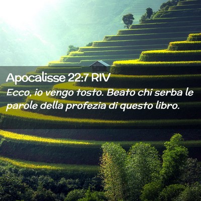 Picture 02 - Apocalisse 22:7 RIV - Ecco, io vengo tosto. Beato chi serba le parole - Bible Verse Picture