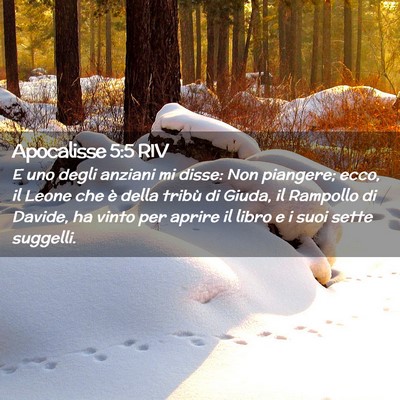 Picture 02 - Apocalisse 5:5 RIV - E uno degli anziani mi disse: Non piangere; ecco, - Bible Verse Picture