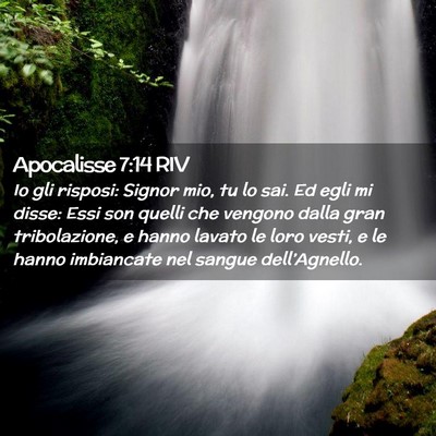 Picture 02 - Apocalisse 7:14 RIV - Io gli risposi: Signor mio, tu lo sai. Ed egli mi - Bible Verse Picture