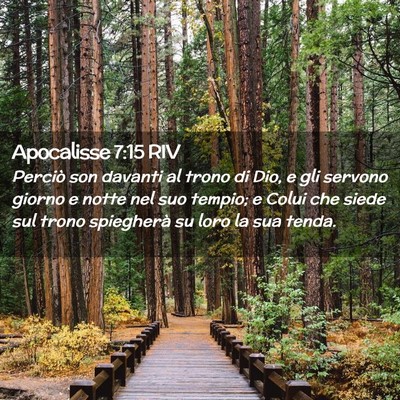 Picture 02 - Apocalisse 7:15 RIV - Perciò son davanti al trono di Dio, e gli - Bible Verse Picture