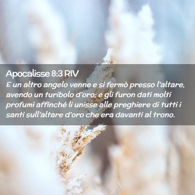 Picture 02 - Apocalisse 8:3 RIV - E un altro angelo venne e si fermò presso - Bible Verse Picture