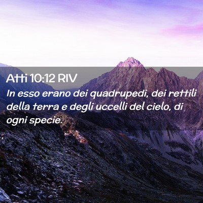 Picture 02 - Atti 10:12 RIV - In esso erano dei quadrupedi, dei rettili della - Bible Verse Picture