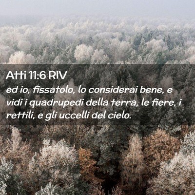 Picture 02 - Atti 11:6 RIV - ed io, fissatolo, lo considerai bene, e vidi i - Bible Verse Picture