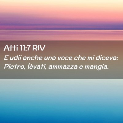 Picture 02 - Atti 11:7 RIV - E udii anche una voce che mi diceva: Pietro, - Bible Verse Picture