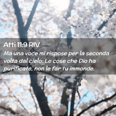 Picture 02 - Atti 11:9 RIV - Ma una voce mi rispose per la seconda volta dal - Bible Verse Picture