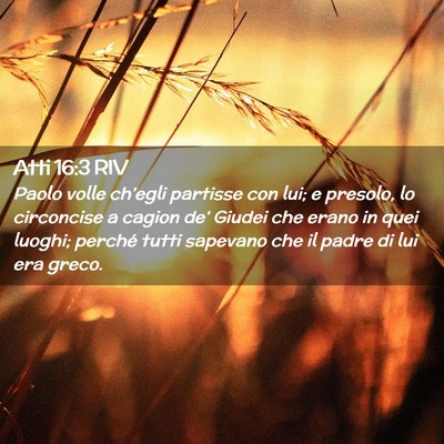 Picture 02 - Atti 16:3 RIV - Paolo volle ch’egli partisse con lui; e - Bible Verse Picture