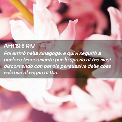 Picture 02 - Atti 19:8 RIV - Poi entrò nella sinagoga, e quivi seguitò a - Bible Verse Picture